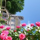 TOUL, VILLE FLEURIE