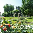 TOUL, VILLE FLEURIE