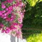 TOUL, VILLE FLEURIE