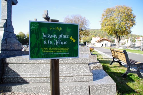 Entretien zéro phyto