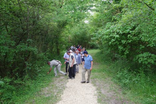 Sentier floristique