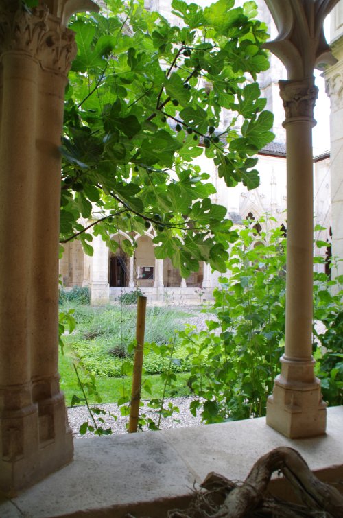 Vue du cloitre fleuri et verdoyant de la collégiale St-Gengoult.